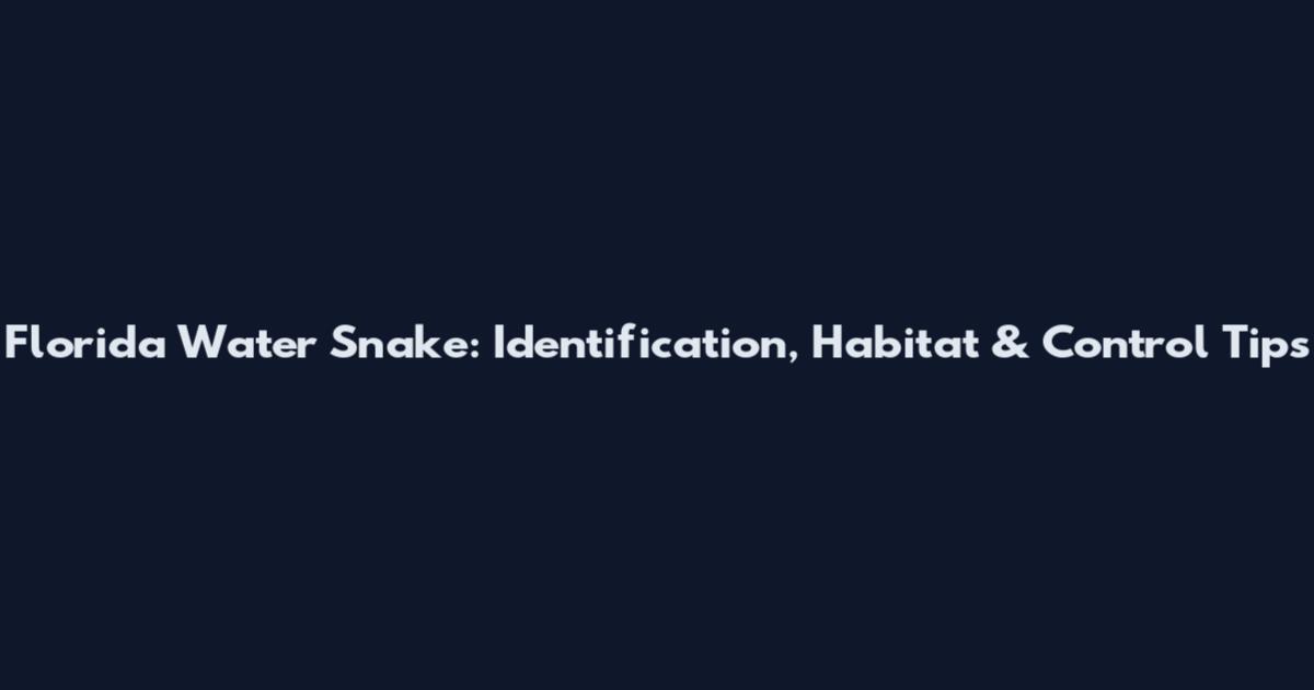 Florida Water Snake: Identification, Habitat & Control Tips