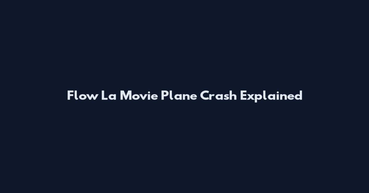 Flow La Movie Plane Crash Explained