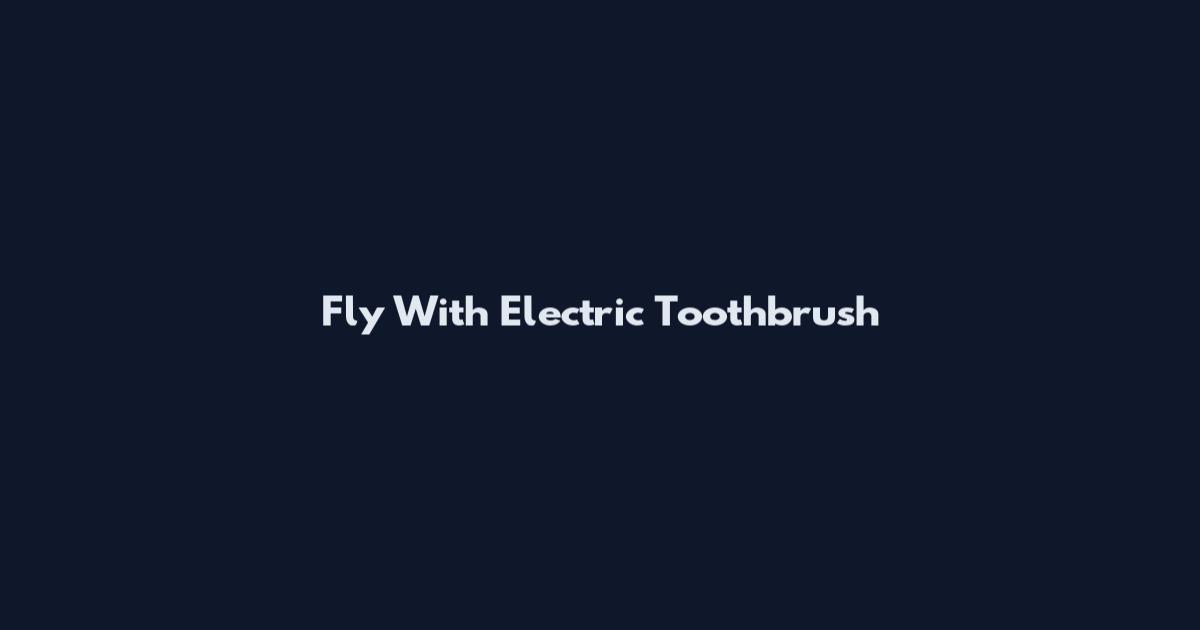 Fly With Electric Toothbrush