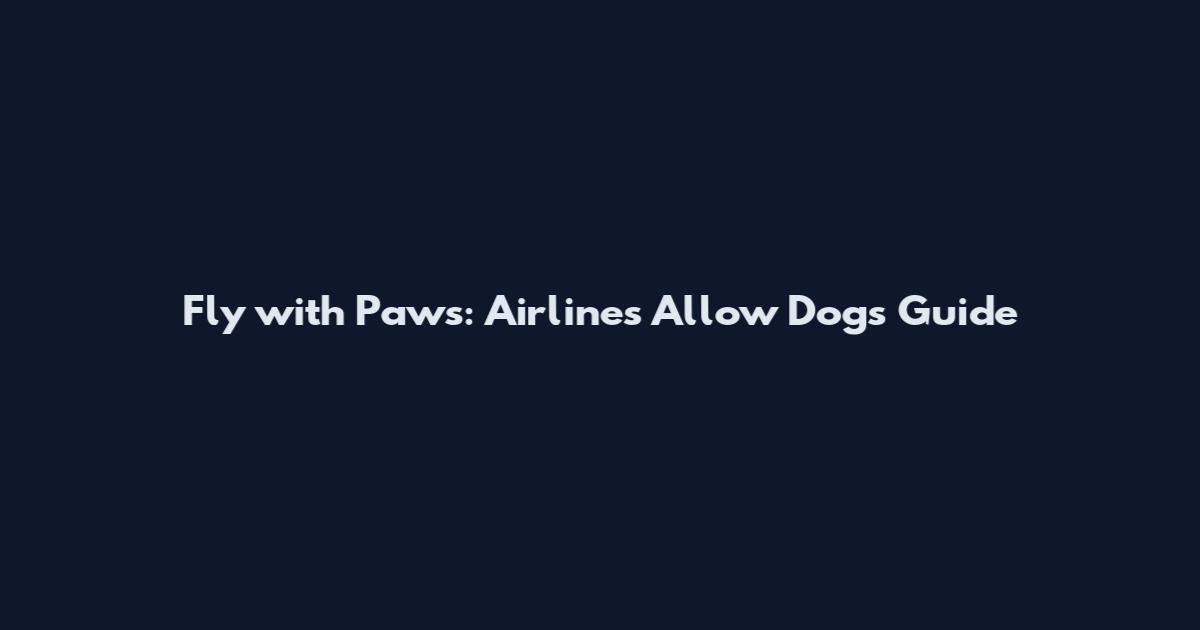 Fly with Paws: Airlines Allow Dogs Guide