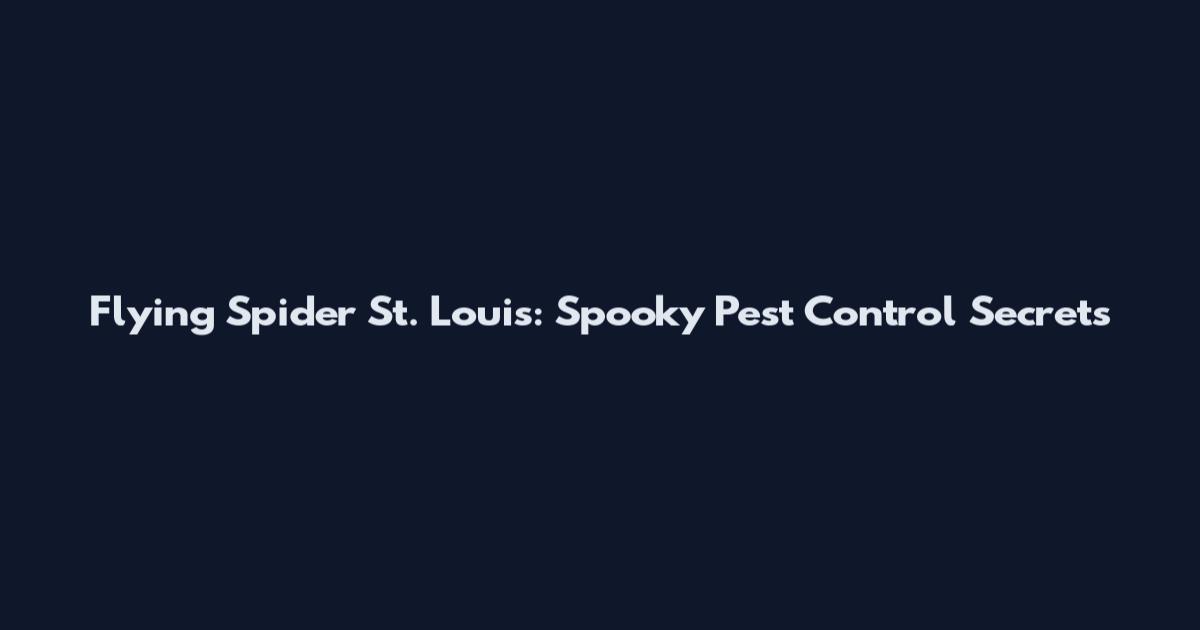 Flying Spider St. Louis: Spooky Pest Control Secrets