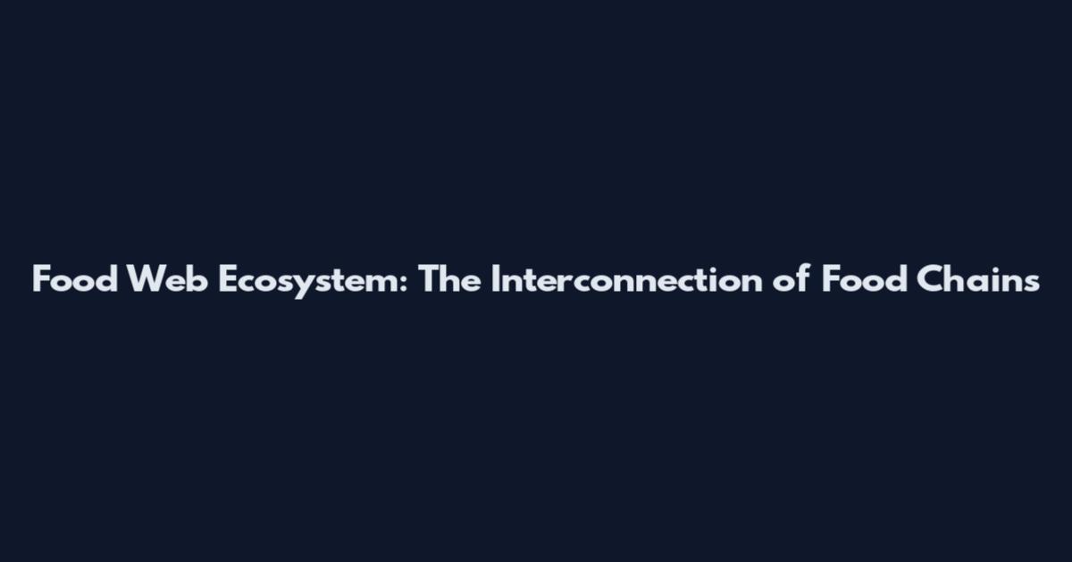 Food Web Ecosystem: The Interconnection of Food Chains