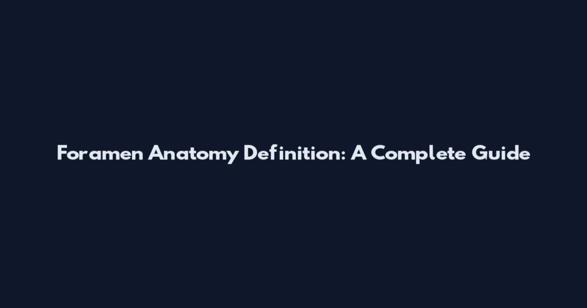 Foramen Anatomy Definition: A Complete Guide