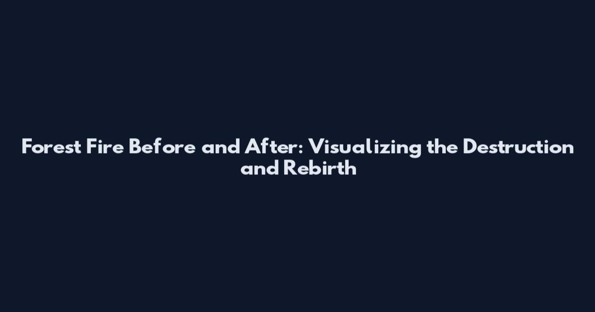 Forest Fire Before and After: Visualizing the Destruction and Rebirth
