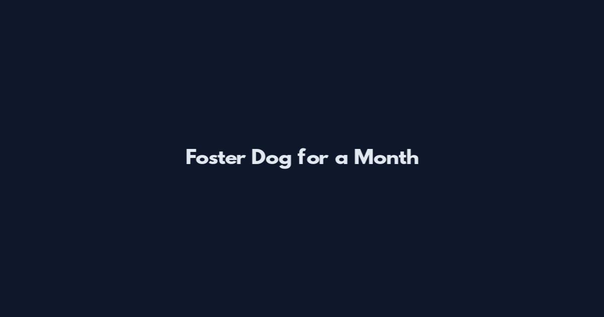 Foster Dog for a Month