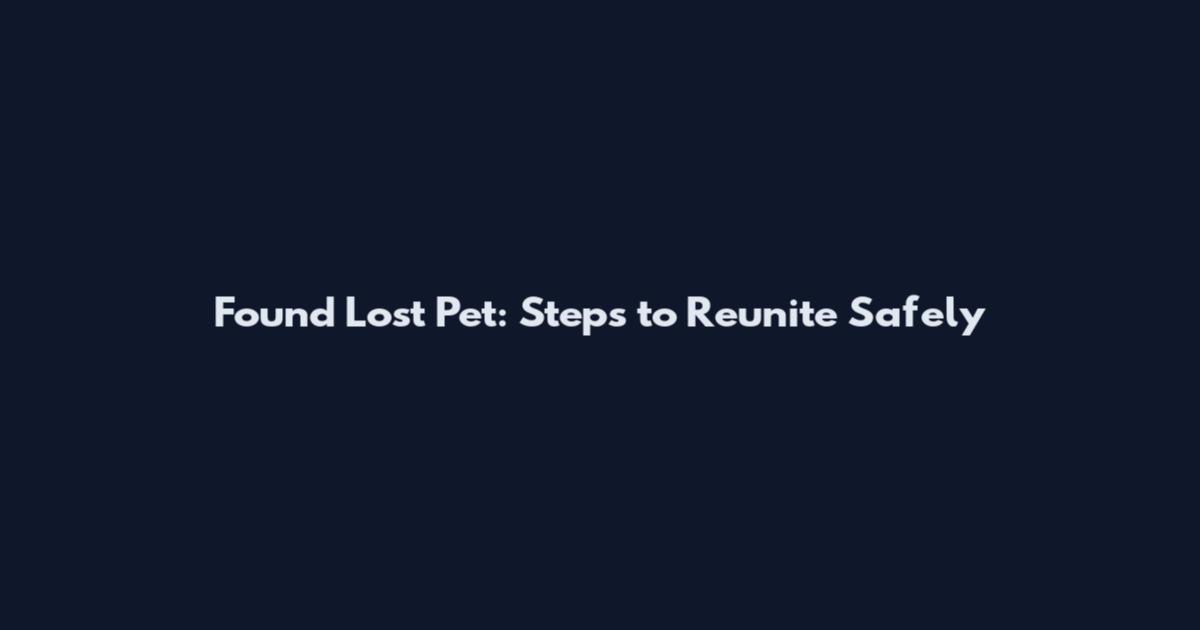Found Lost Pet: Steps to Reunite Safely