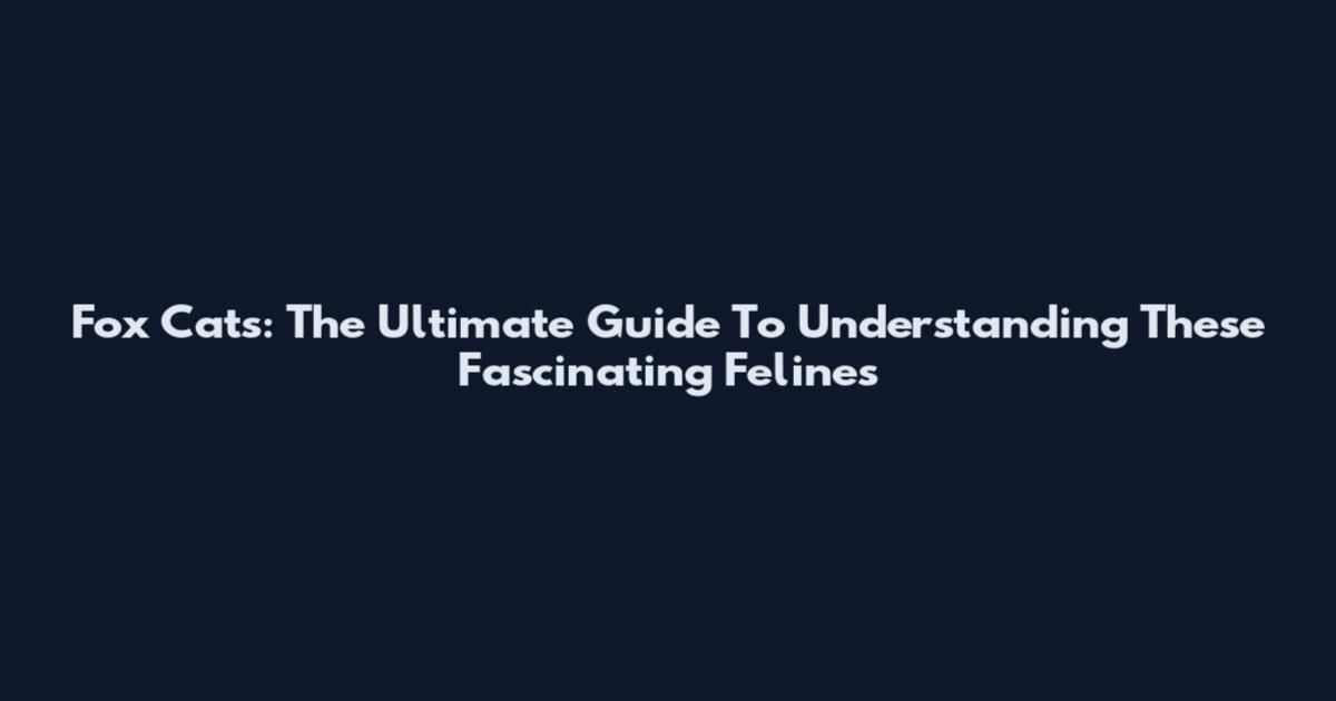 Fox Cats: The Ultimate Guide To Understanding These Fascinating Felines