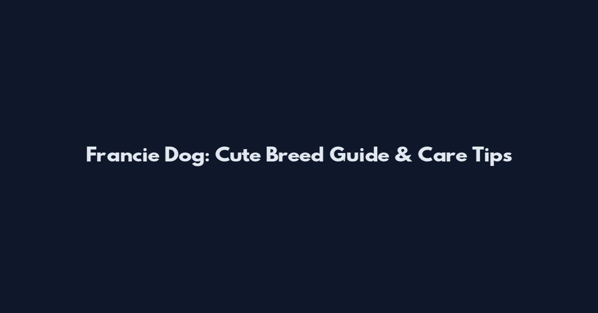 Francie Dog: Cute Breed Guide & Care Tips