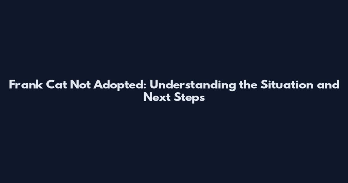 Frank Cat Not Adopted: Understanding the Situation and Next Steps