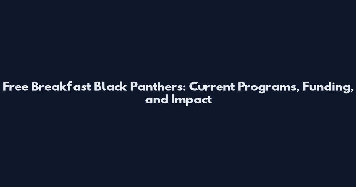 Free Breakfast Black Panthers: Current Programs, Funding, and Impact