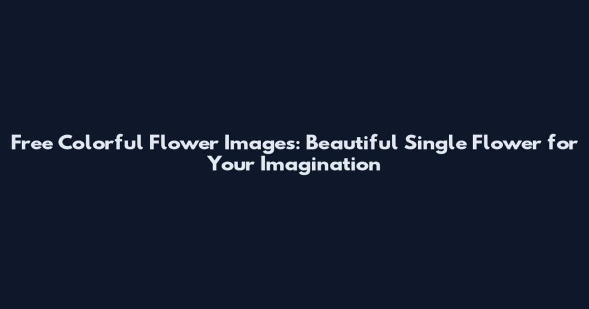 Free Colorful Flower Images: Beautiful Single Flower for Your Imagination
