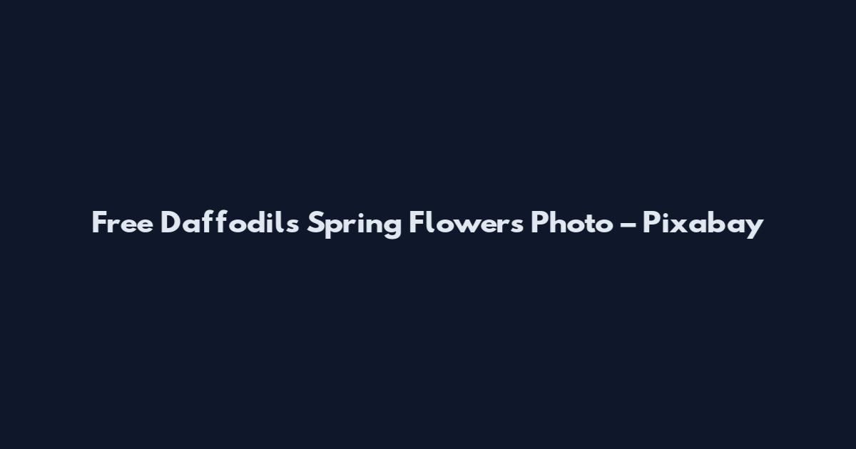 Free Daffodils Spring Flowers Photo – Pixabay