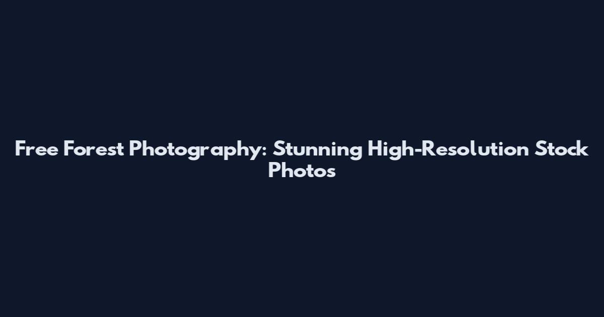 Free Forest Photography: Stunning High-Resolution Stock Photos