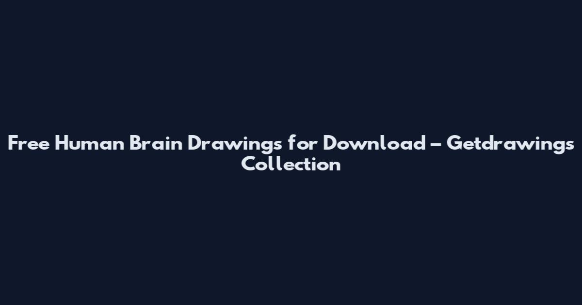 Free Human Brain Drawings for Download – Getdrawings Collection