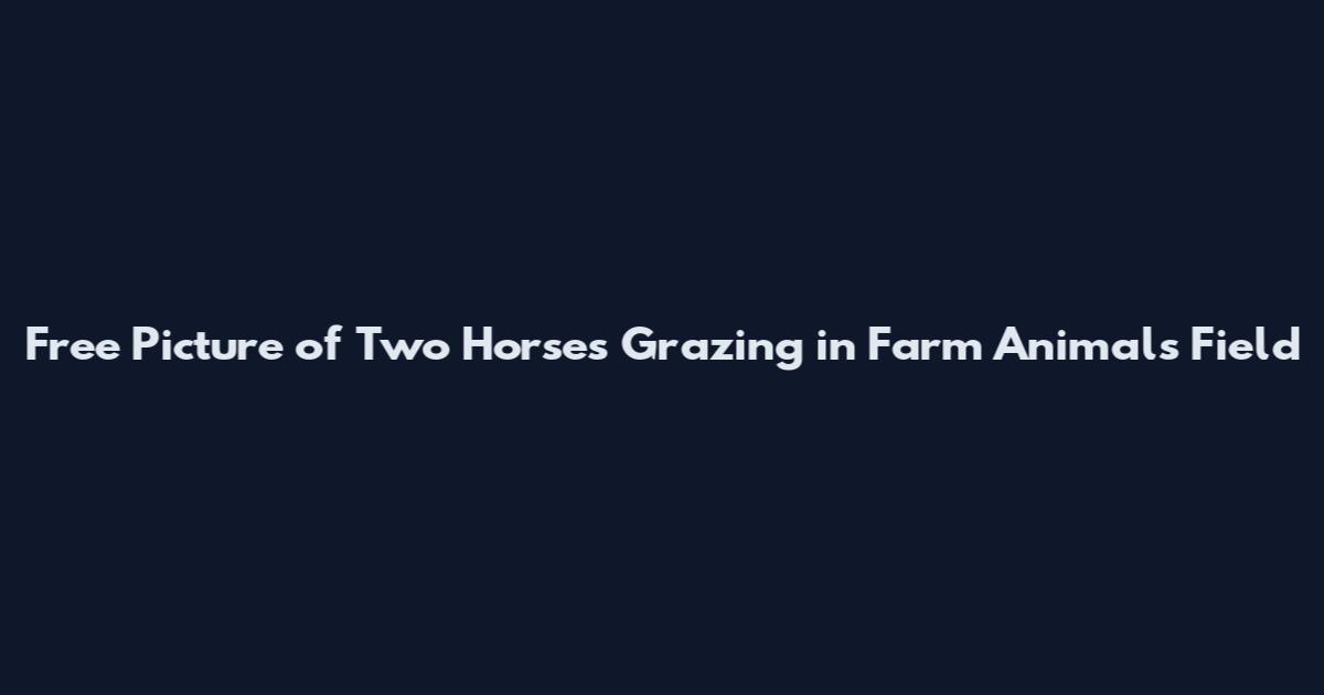 Free Picture of Two Horses Grazing in Farm Animals Field