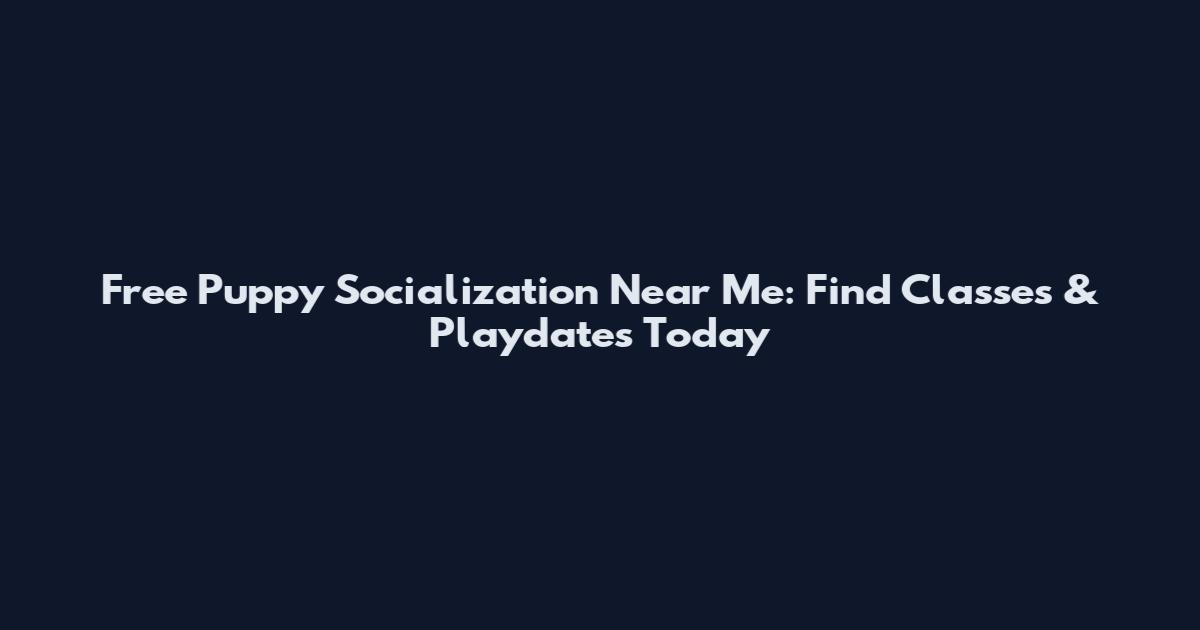 Free Puppy Socialization Near Me: Find Classes & Playdates Today