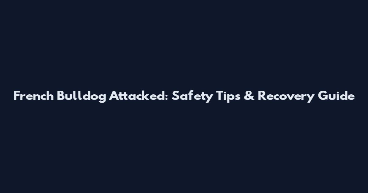 French Bulldog Attacked: Safety Tips & Recovery Guide