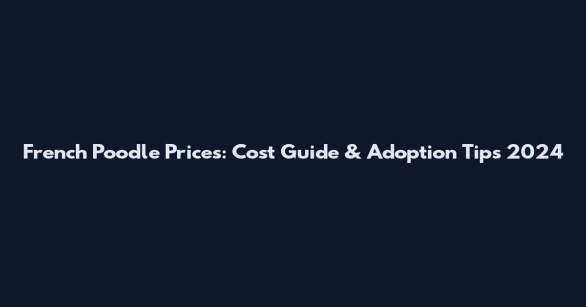 French Poodle Prices: Cost Guide & Adoption Tips 2024