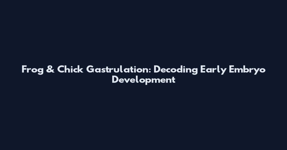 Frog & Chick Gastrulation: Decoding Early Embryo Development
