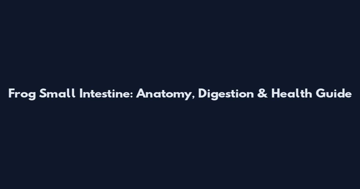 Frog Small Intestine: Anatomy, Digestion & Health Guide
