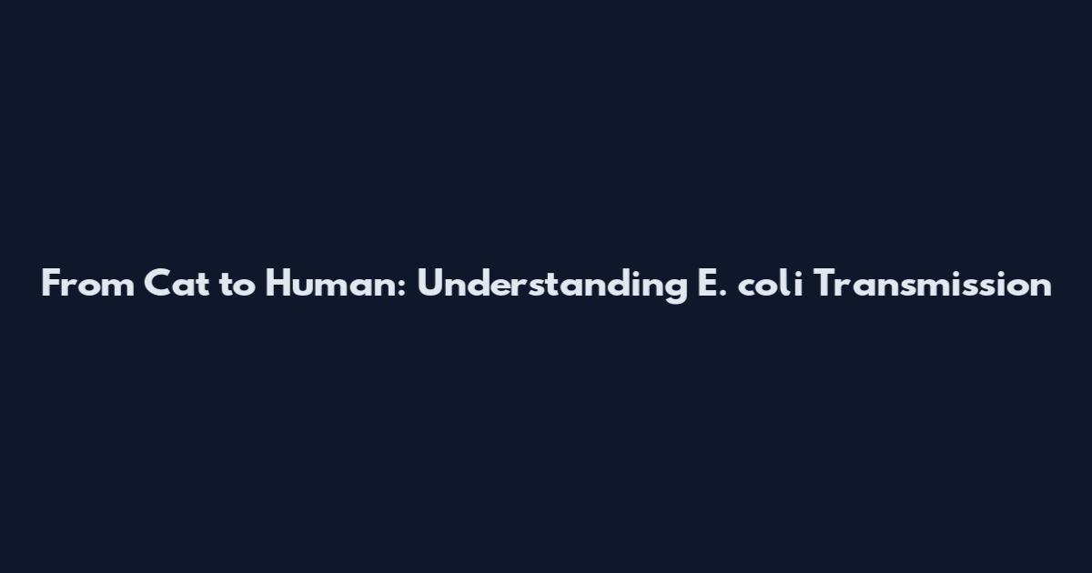 From Cat to Human: Understanding E. coli Transmission