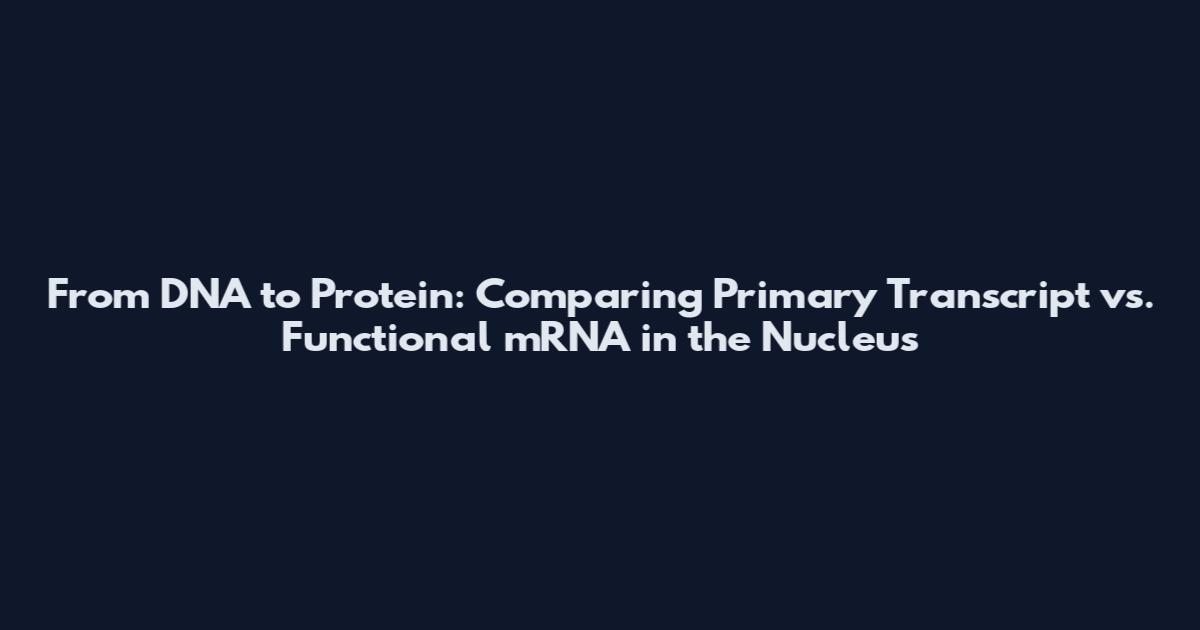 From DNA to Protein: Comparing Primary Transcript vs. Functional mRNA in the Nucleus