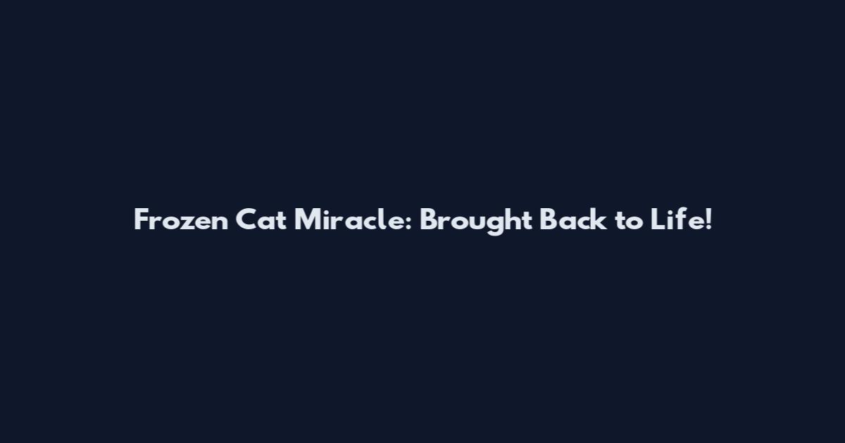 Frozen Cat Miracle: Brought Back to Life!