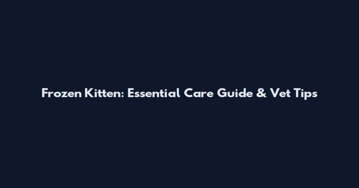 Frozen Kitten: Essential Care Guide & Vet Tips