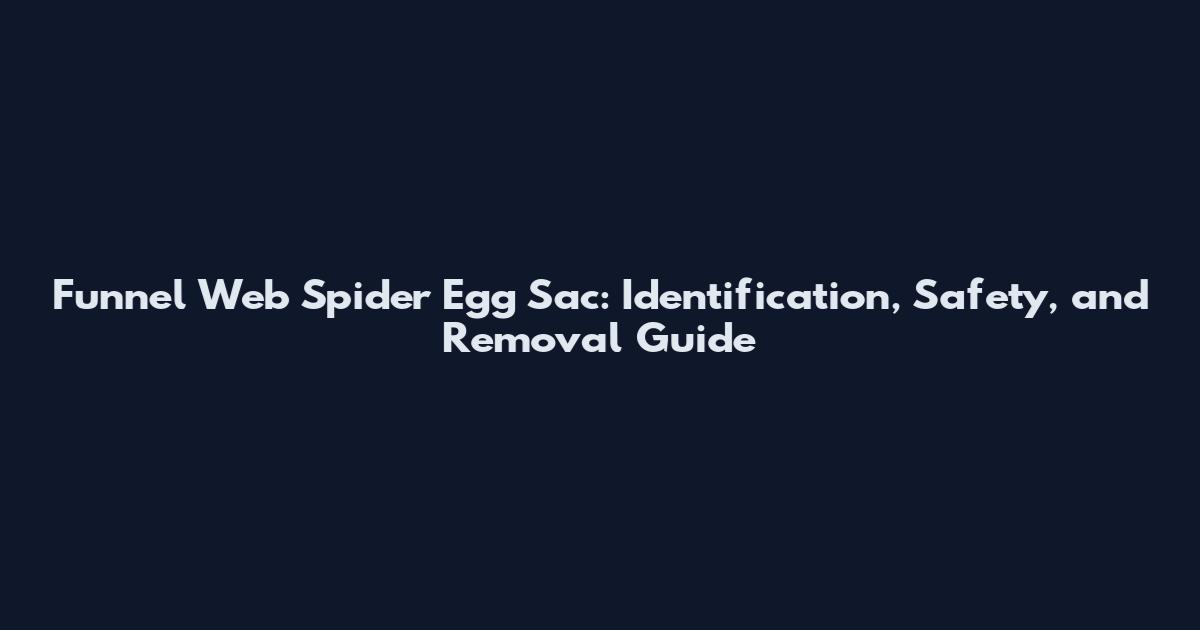 Funnel Web Spider Egg Sac: Identification, Safety, and Removal Guide
