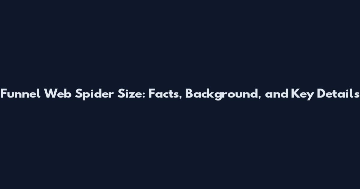 Funnel Web Spider Size: Facts, Background, and Key Details