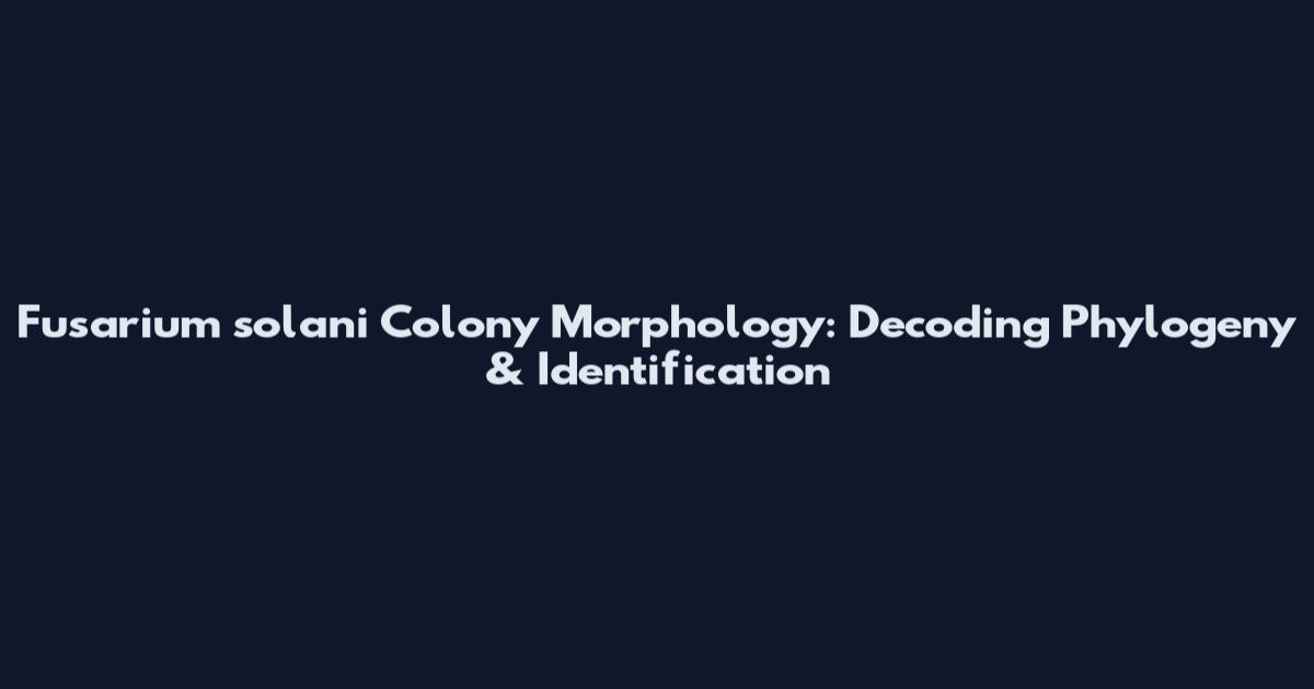 Fusarium solani Colony Morphology: Decoding Phylogeny & Identification