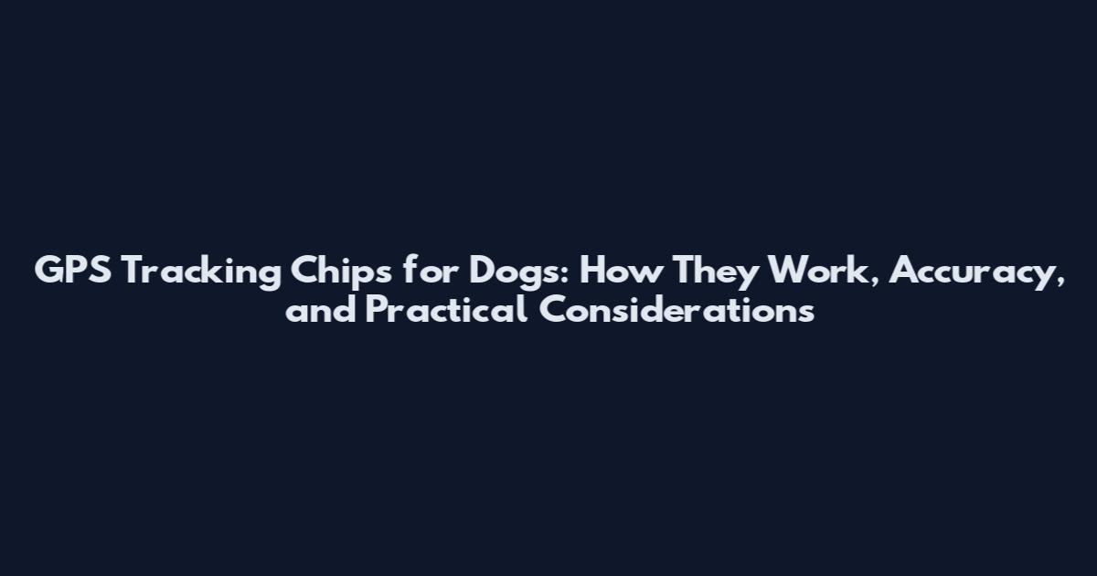GPS Tracking Chips for Dogs: How They Work, Accuracy, and Practical Considerations