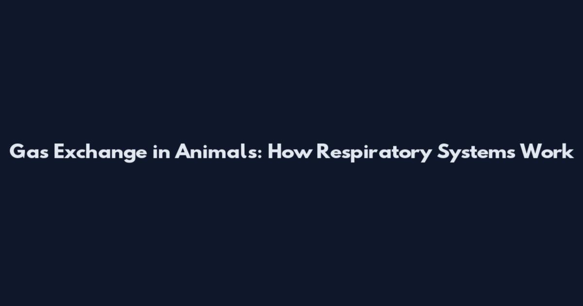 Gas Exchange in Animals: How Respiratory Systems Work