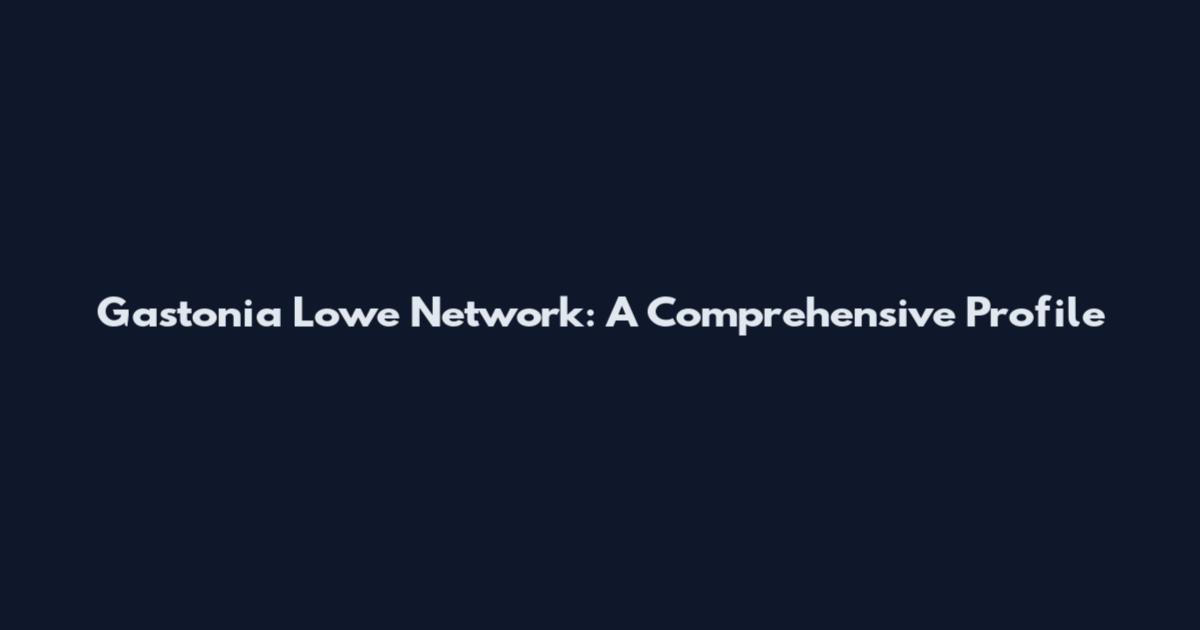 Gastonia Lowe Network: A Comprehensive Profile