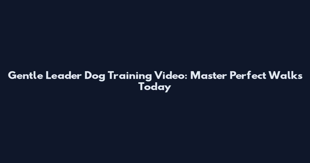 Gentle Leader Dog Training Video: Master Perfect Walks Today