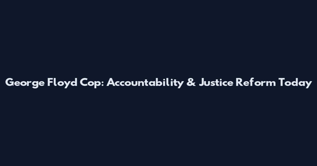 George Floyd Cop: Accountability & Justice Reform Today