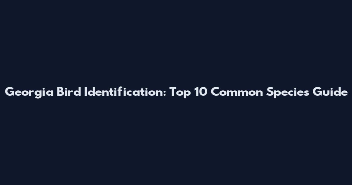 Georgia Bird Identification: Top 10 Common Species Guide