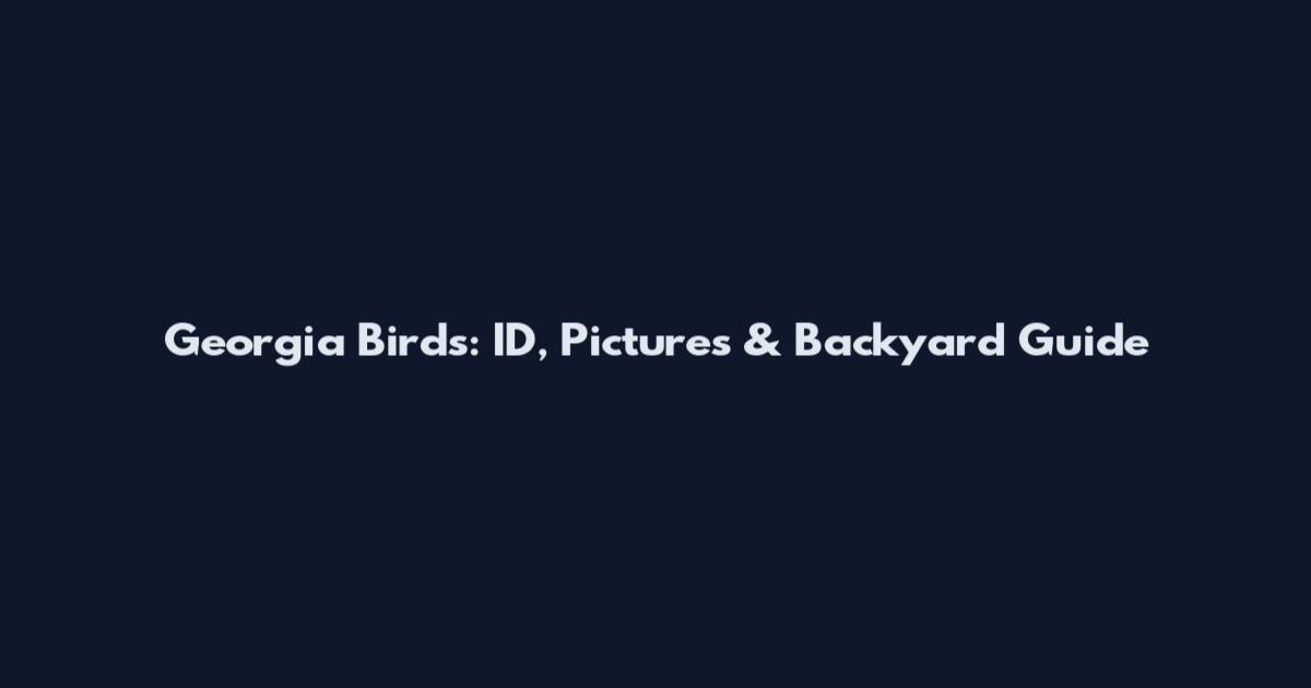 Georgia Birds: ID, Pictures & Backyard Guide