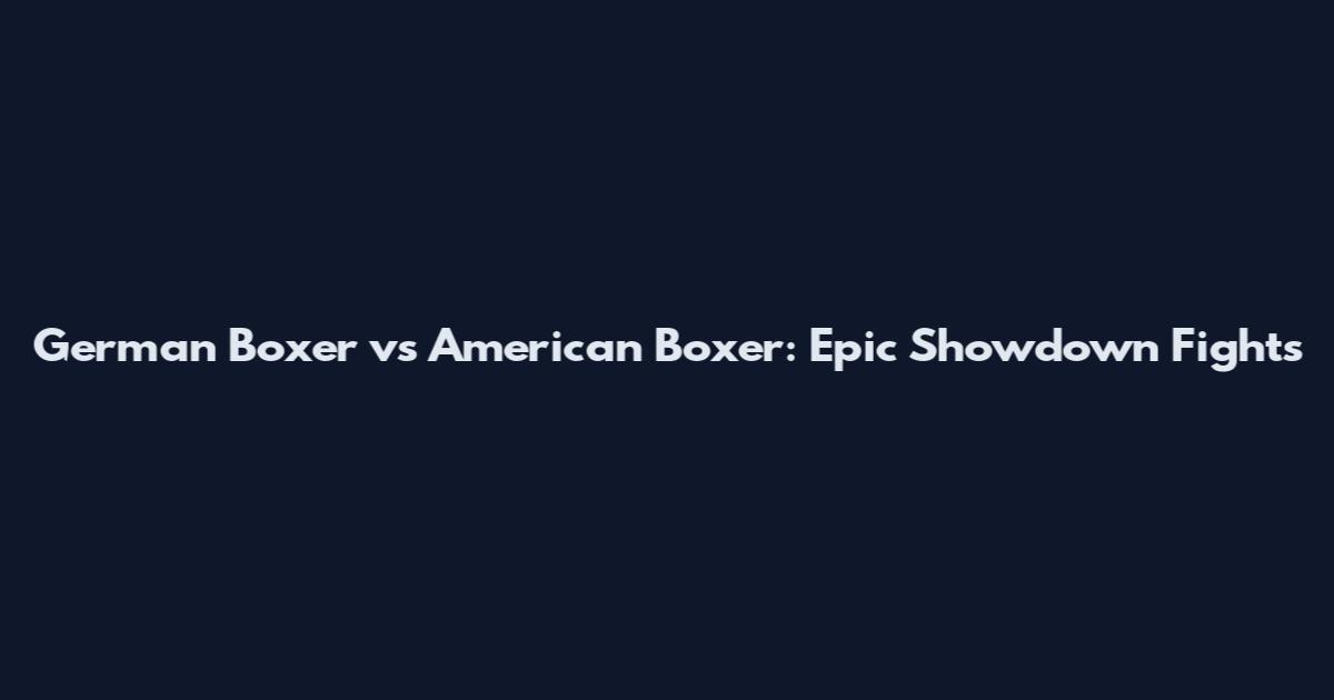 German Boxer vs American Boxer: Epic Showdown Fights