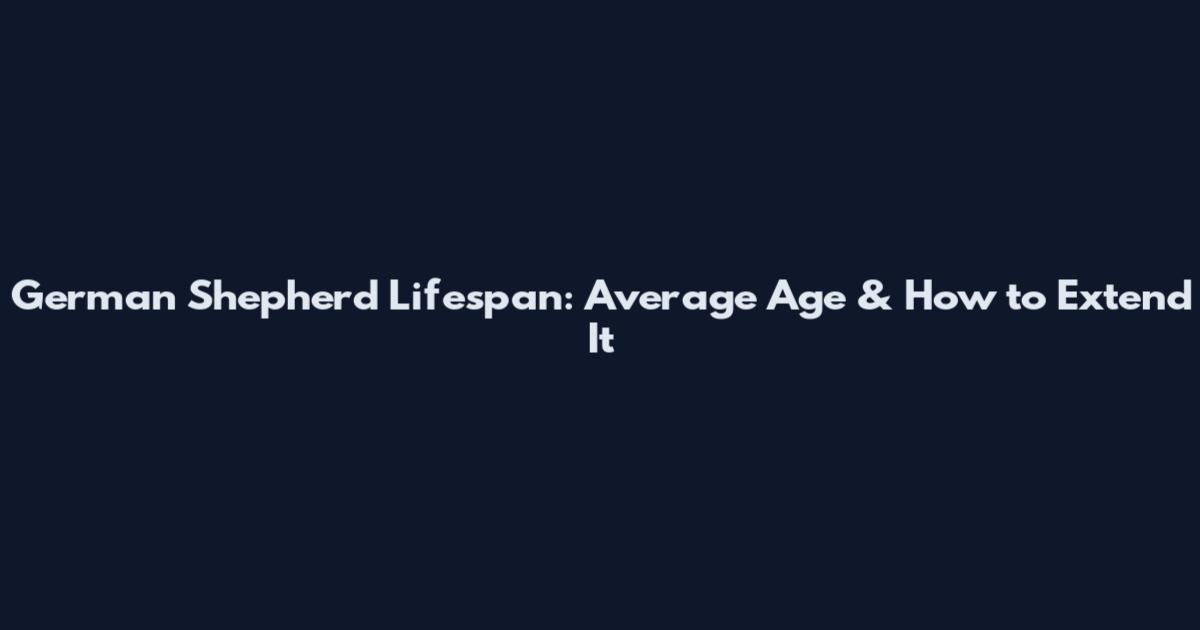 German Shepherd Lifespan: Average Age & How to Extend It