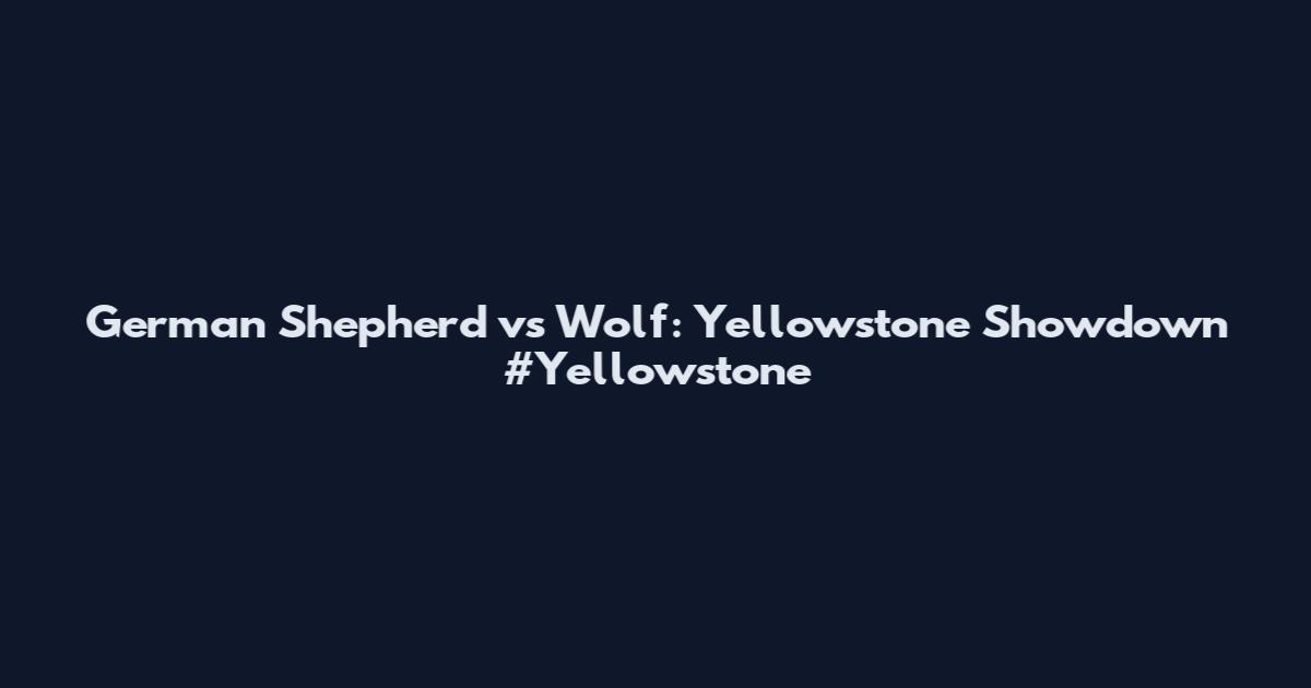 German Shepherd vs Wolf: Yellowstone Showdown #Yellowstone