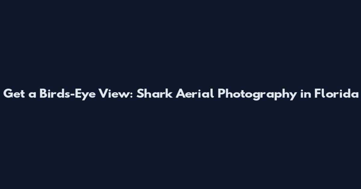 Get a Bird's-Eye View: Shark Aerial Photography in Florida