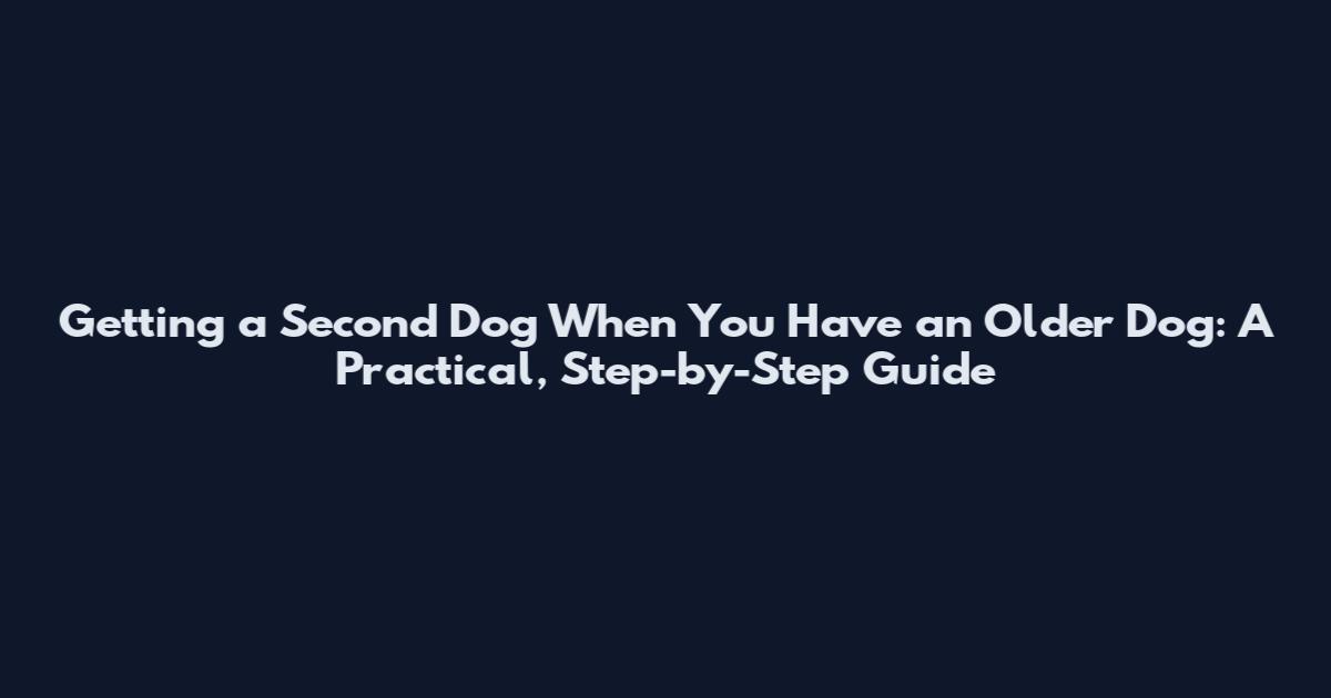 Getting a Second Dog When You Have an Older Dog: A Practical, Step-by-Step Guide
