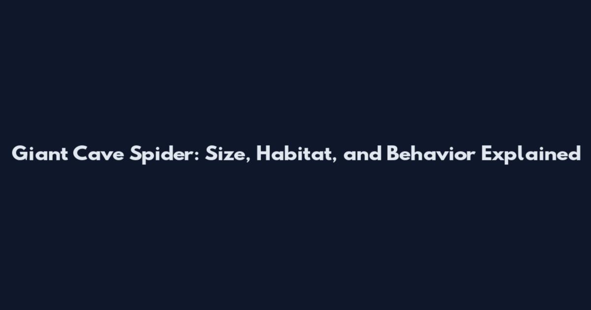 Giant Cave Spider: Size, Habitat, and Behavior Explained