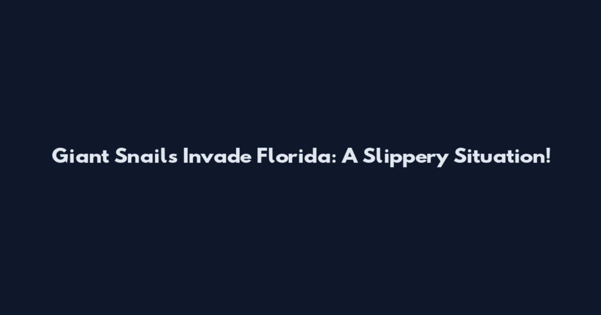 Giant Snails Invade Florida: A Slippery Situation!