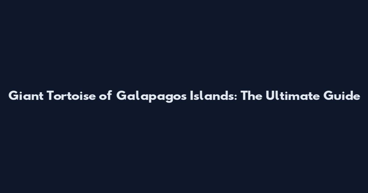Giant Tortoise of Galapagos Islands: The Ultimate Guide