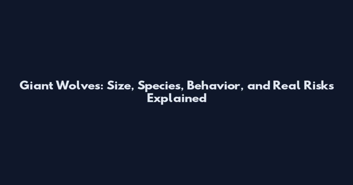 Giant Wolves: Size, Species, Behavior, and Real Risks Explained