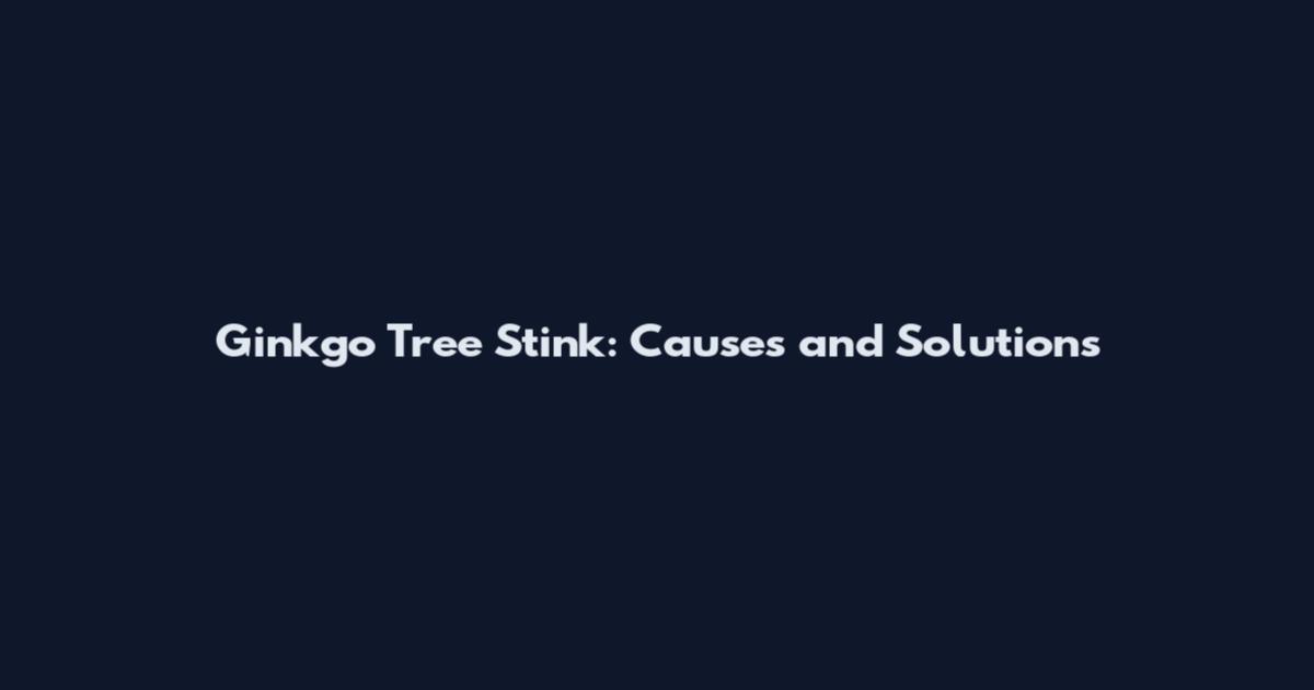 Ginkgo Tree Stink: Causes and Solutions