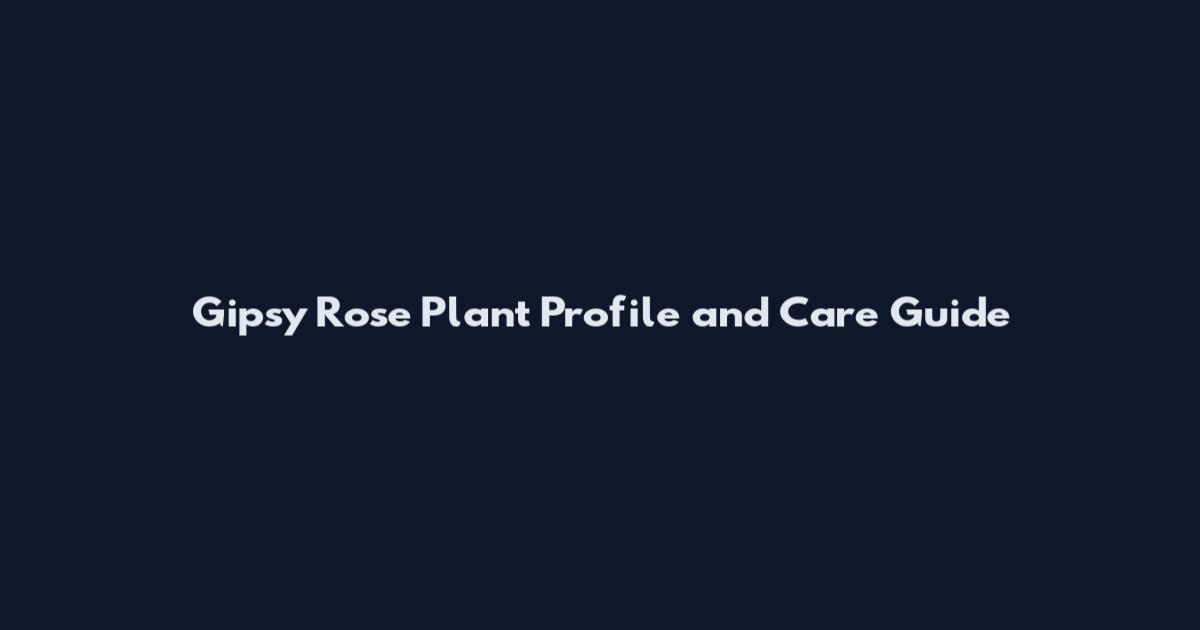 Gipsy Rose Plant Profile and Care Guide