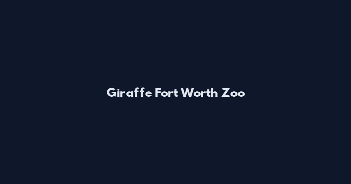 Giraffe Fort Worth Zoo